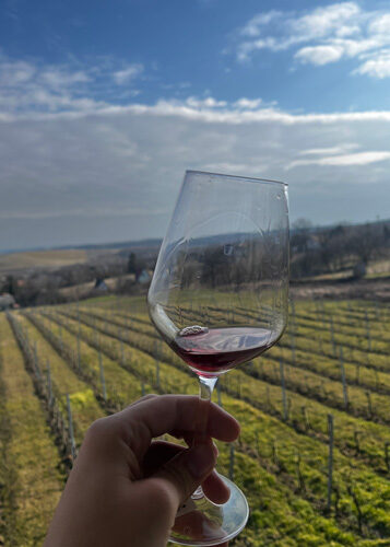 Overlooking Gluck Estates Winery